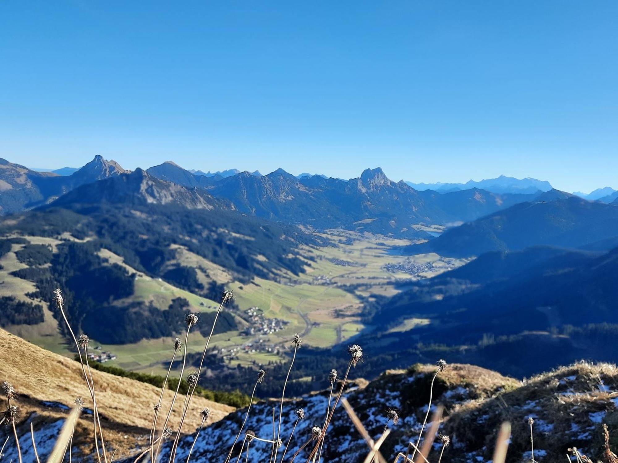 Haus Alpenblick Apartment